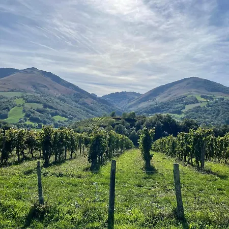 玛尼可热尼雅旅馆 酒店