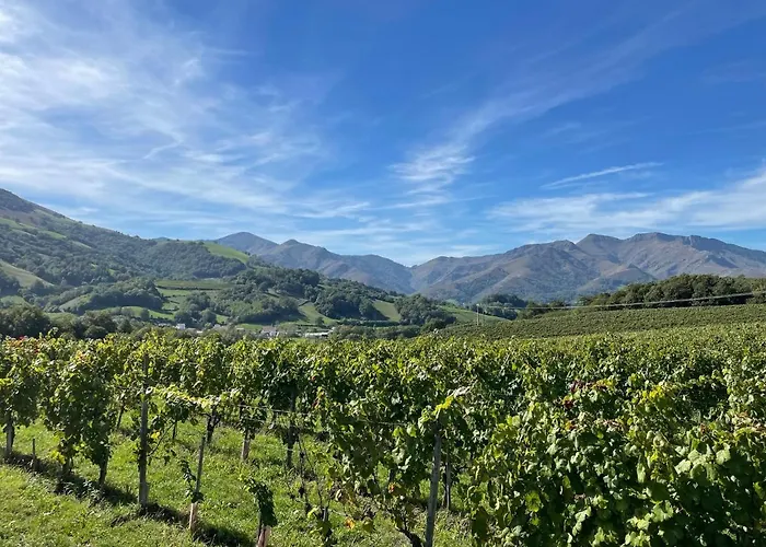 Manexenea 2* Saint-Etienne-de-Baigorry